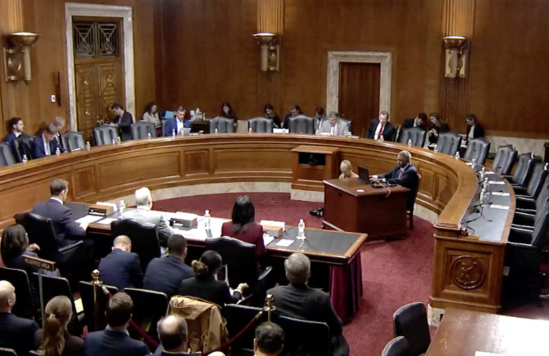 Senate committee